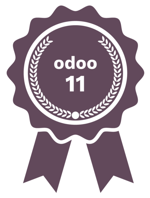 odoo11_partner_gold_karizma_conseil-480x632