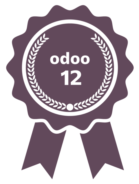 odoo12_partner_gold_karizma_conseil-480x632